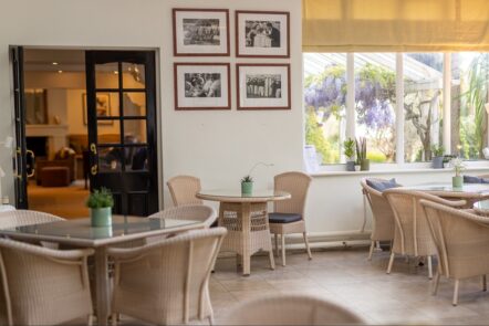 Conferences & Meetings