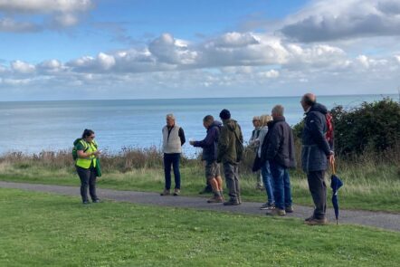 Walking Festival - Discovering Ventnor with Accommodation