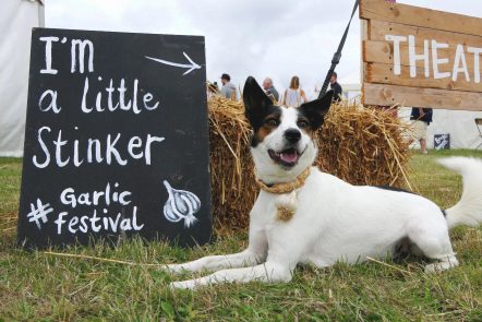 Isle of Wight Garlic Festival