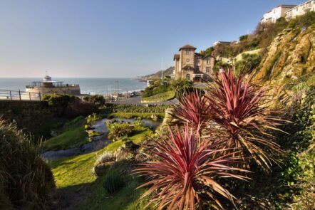 Nature Walks and Wildlife Wonders Around Ventnor, Isle of Wight