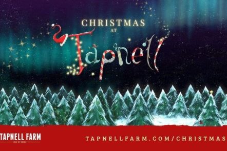 Christmas at Tapnell Farm Park