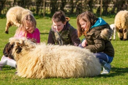 Young Farm Ranger Sessions at Isle of Wight Rare Breeds CIC