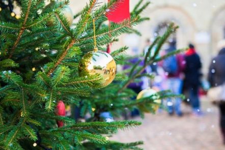 Festive Fun at Osborne