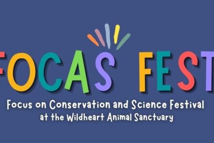 Focus Fest - Wildheart Animal Sanctuary
