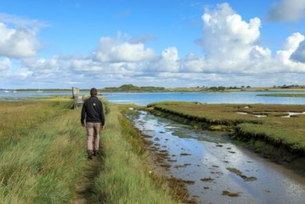 'Newtown: From a Medieval town to a saltmarsh' Guided Walk